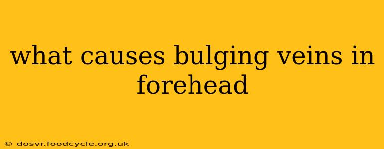 what causes bulging veins in forehead