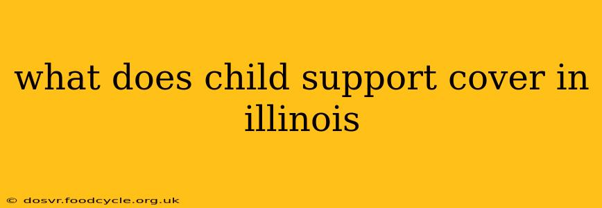 what does child support cover in illinois