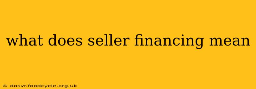 what does seller financing mean