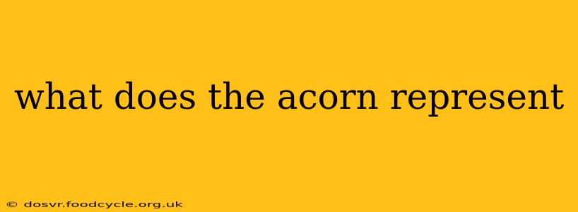 what does the acorn represent