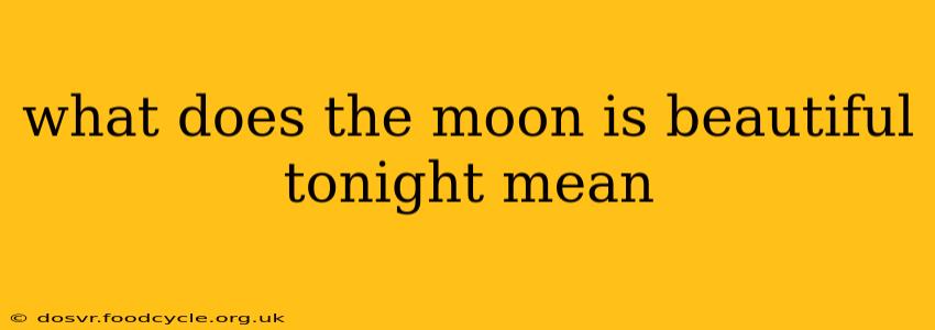 what does the moon is beautiful tonight mean
