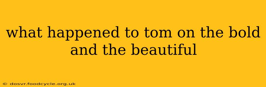 what happened to tom on the bold and the beautiful