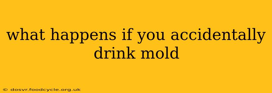 what happens if you accidentally drink mold