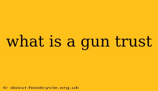 what is a gun trust