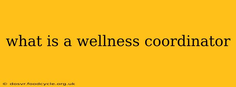 what is a wellness coordinator