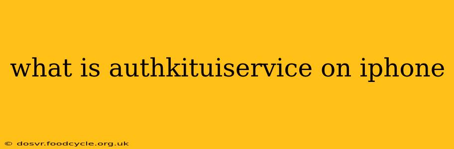 what is authkituiservice on iphone