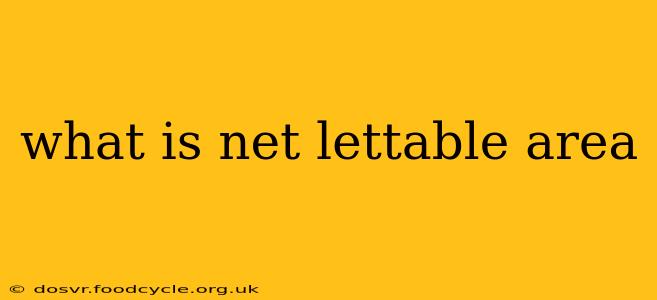 what is net lettable area