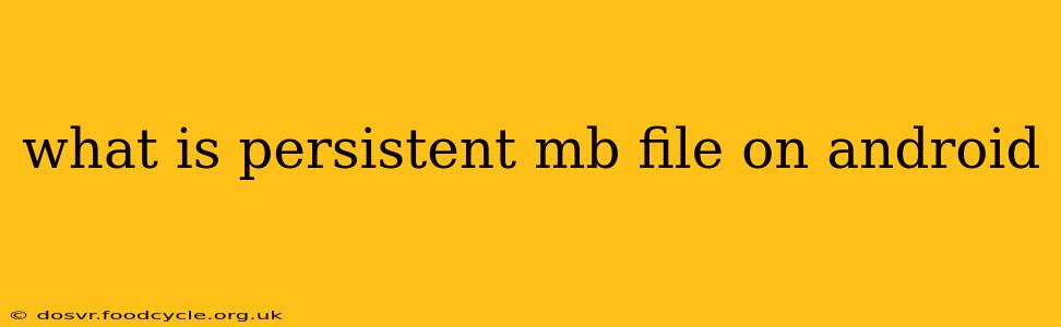 what is persistent mb file on android