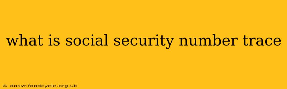what is social security number trace