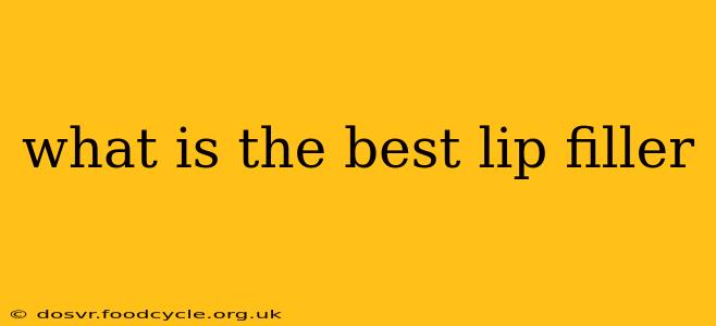 what is the best lip filler