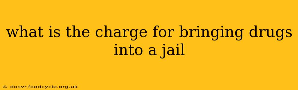 what is the charge for bringing drugs into a jail