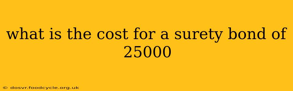 what is the cost for a surety bond of 25000