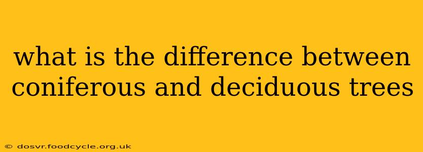 what is the difference between coniferous and deciduous trees