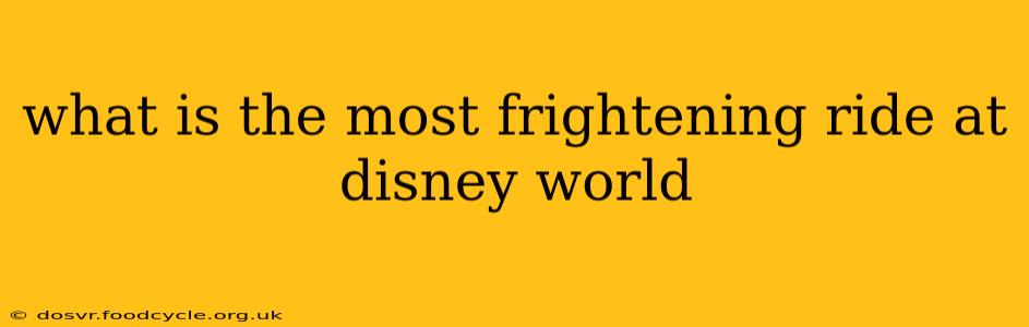 what is the most frightening ride at disney world