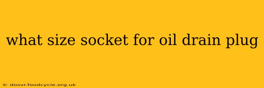 what size socket for oil drain plug