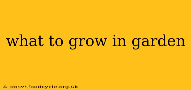 what to grow in garden