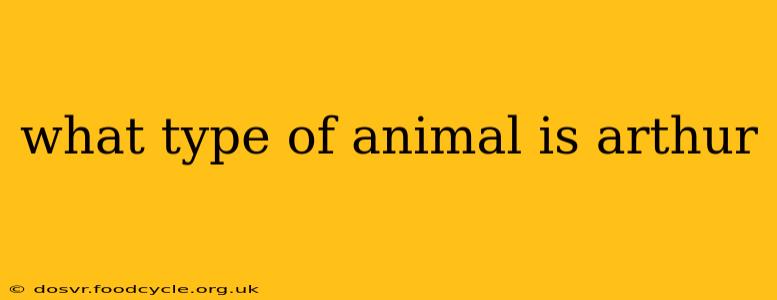 what type of animal is arthur