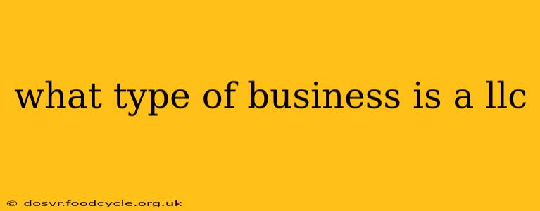 what type of business is a llc