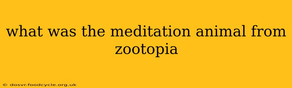 what was the meditation animal from zootopia
