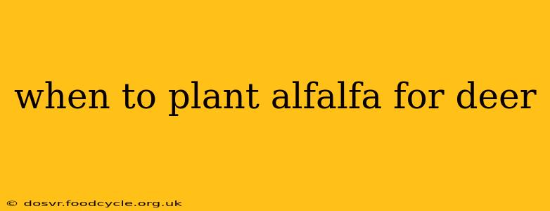 when to plant alfalfa for deer