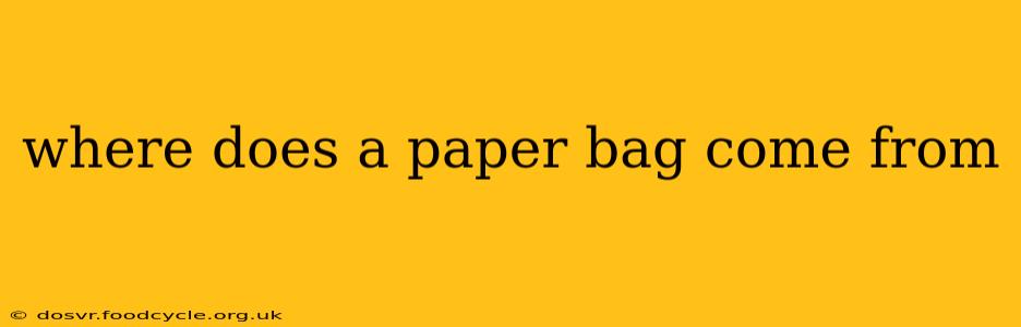 where does a paper bag come from