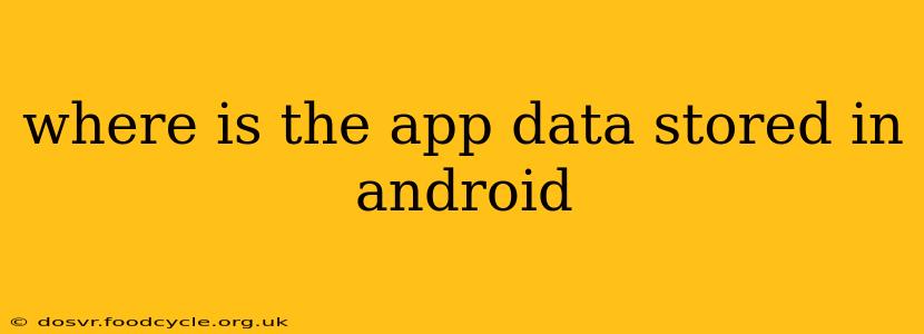 where is the app data stored in android