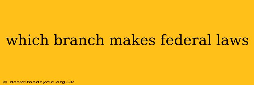 which branch makes federal laws