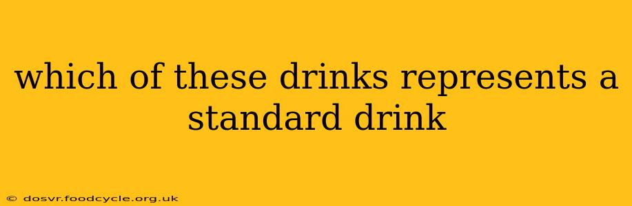 which of these drinks represents a standard drink