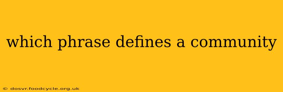 which phrase defines a community