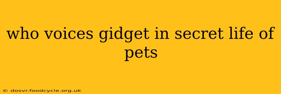 who voices gidget in secret life of pets