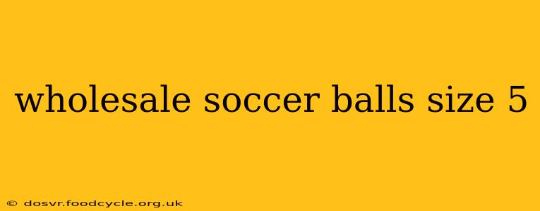 wholesale soccer balls size 5