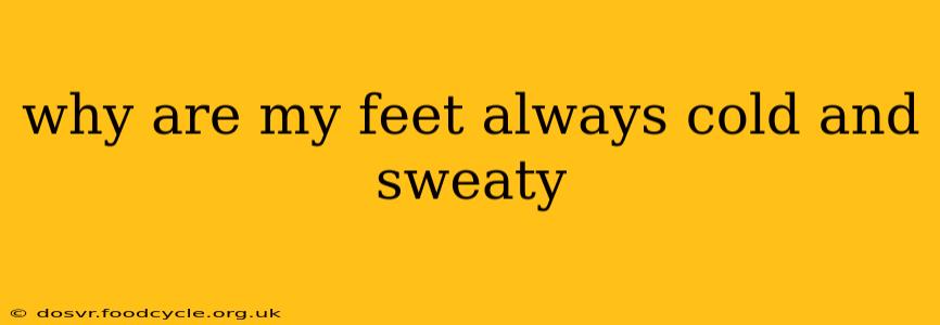 why are my feet always cold and sweaty