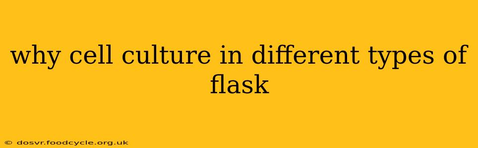 why cell culture in different types of flask