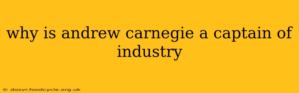 why is andrew carnegie a captain of industry