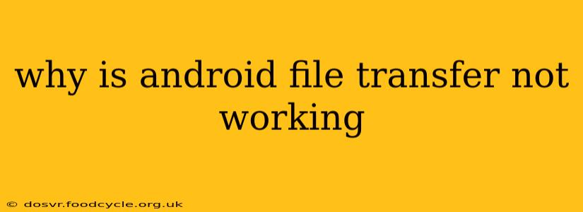 why is android file transfer not working