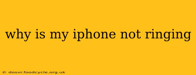 why is my iphone not ringing