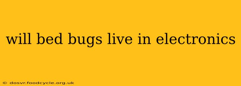 will bed bugs live in electronics