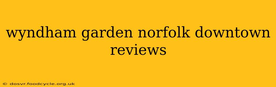 wyndham garden norfolk downtown reviews