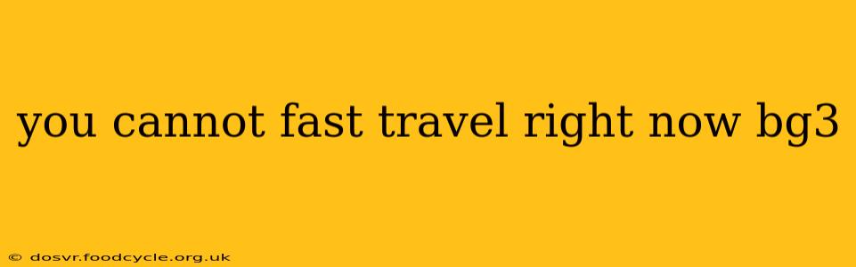 you cannot fast travel right now bg3