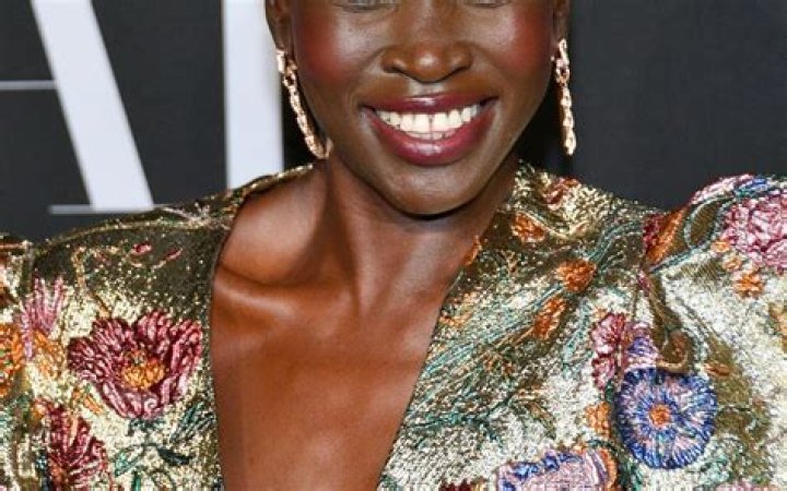 Alek Wek Net Worth | Celebrity Net Worth