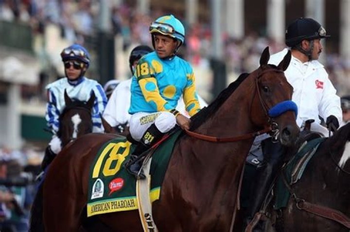 American Pharoah Is Going To Make His Owners A Huge Fortune Off The Racetrack (In The Bedroom)