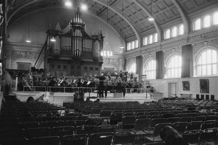 Belladonna Net Worth | Celebrity Net Worth