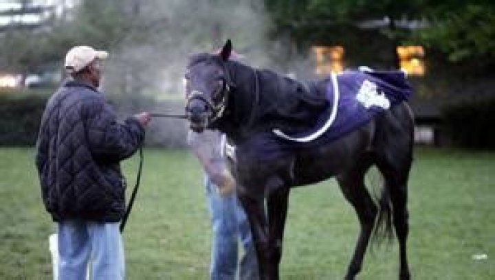 Billionaires Buy Sports Franchises. Millionaires Buy Race Horses.