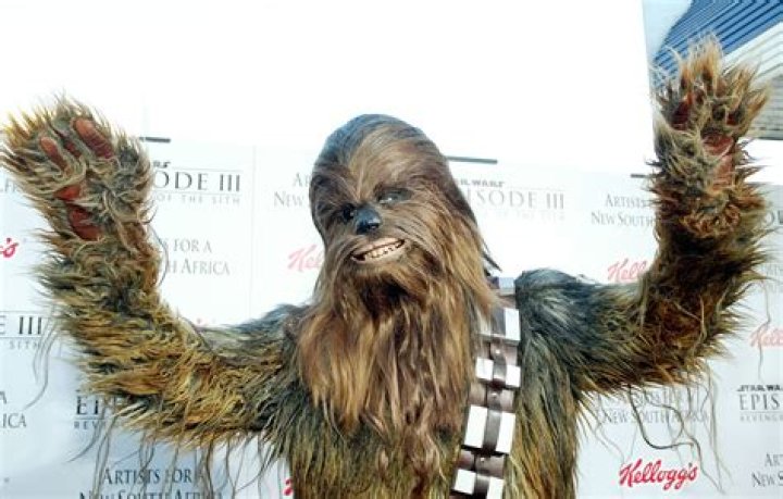 Chewbacca Mom Makes Almost $500 Thousand In Gifts From Viral Video