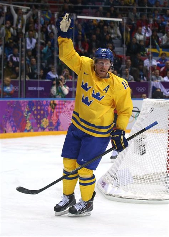 Daniel Alfredsson Net Worth | Celebrity Net Worth