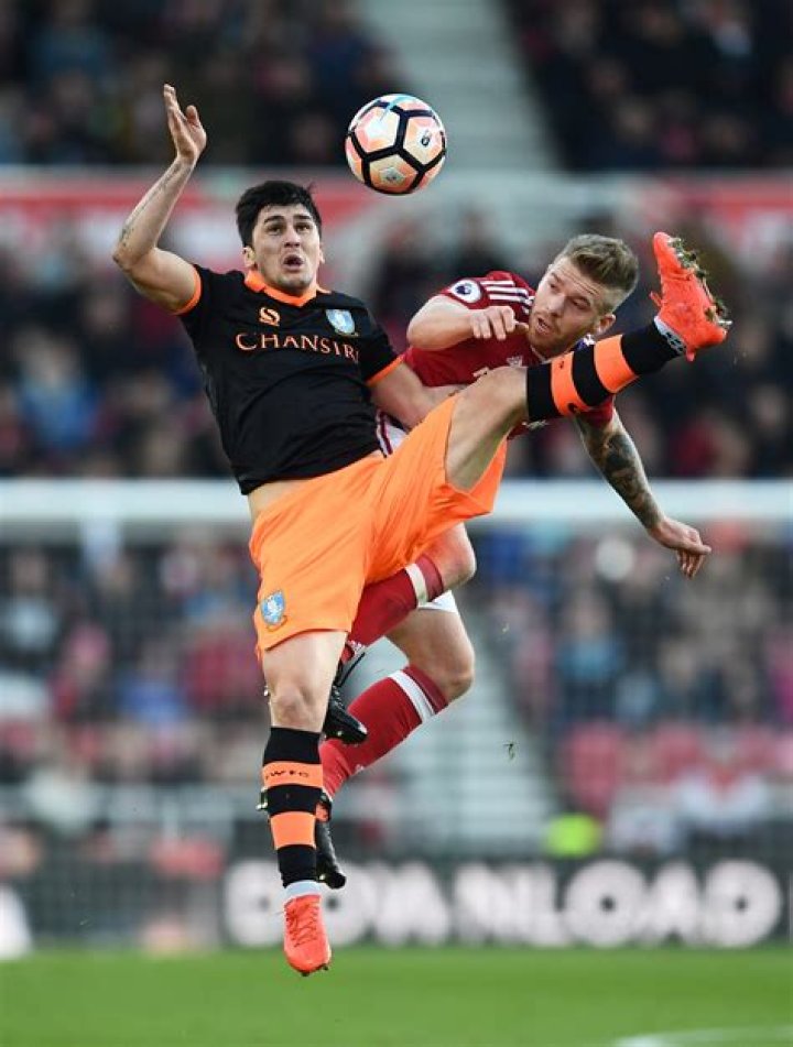 Fernando Forestieri Net Worth | Celebrity Net Worth