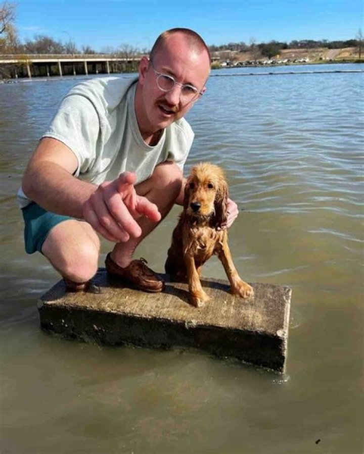 Francis Boulle Net Worth | Celebrity Net Worth