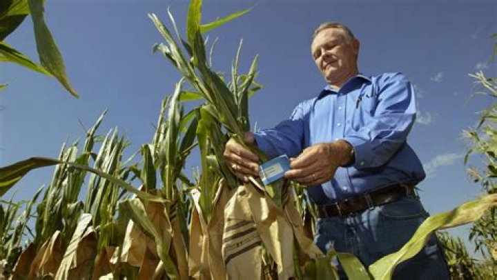 Harry Stine Net Worth | Celebrity Net Worth