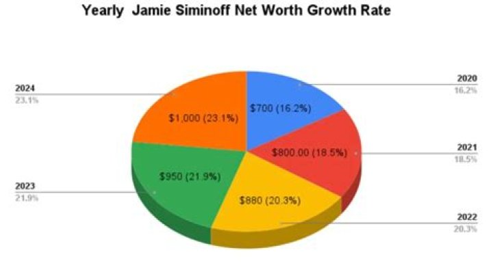 Jamie Siminoff Net Worth | Celebrity Net Worth