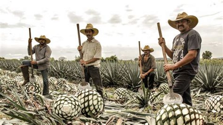 Jose Cuervo Goes Public, Makes Billionaires Out Of Tequila Industry Pioneers